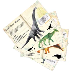 Set de 21 magnets dinosaures - Muséum national d'Histoire naturelle