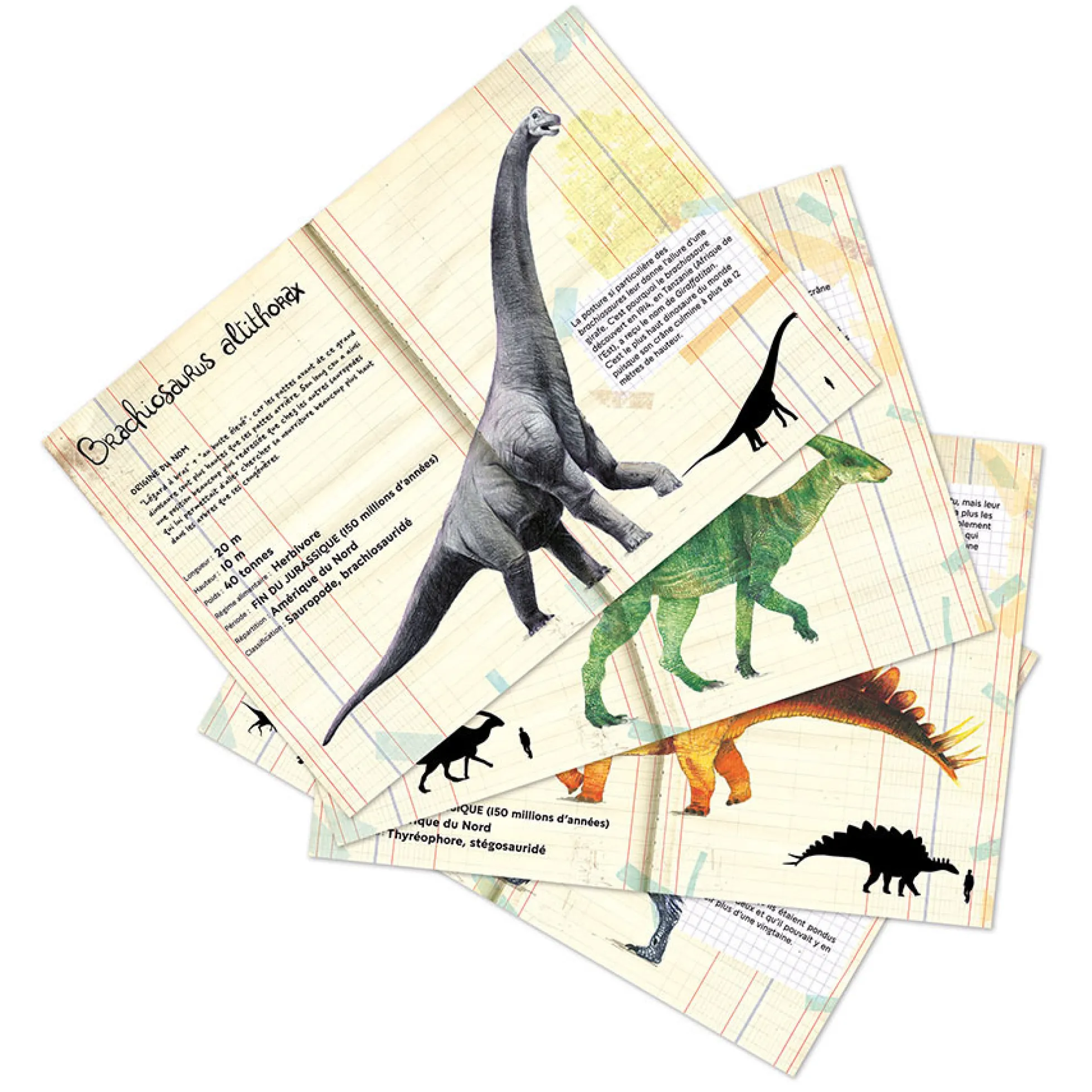 Set de 21 magnets dinosaures - Muséum national d'Histoire naturelle