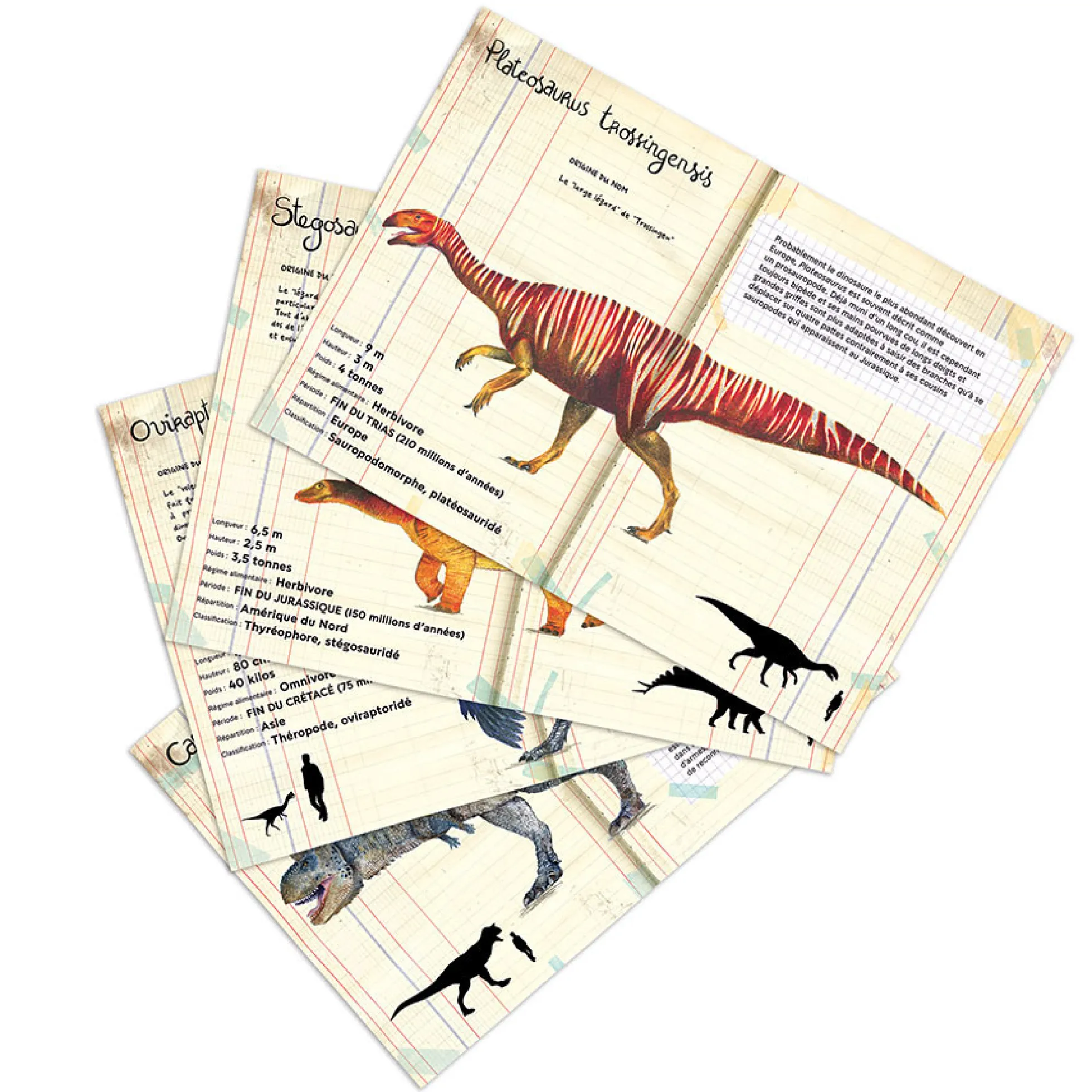 Set de 21 magnets dinosaures - Muséum national d'Histoire naturelle